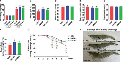 Effects of a phytobiotic-based additive on the growth, hepatopancreas health, intestinal microbiota, and Vibrio parahaemolyticus resistance of Pacific white shrimp, Litopenaeus vannamei